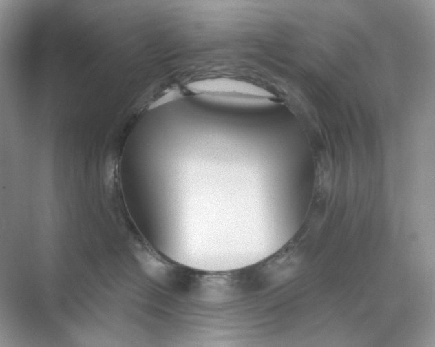 X0000075340574200609292038