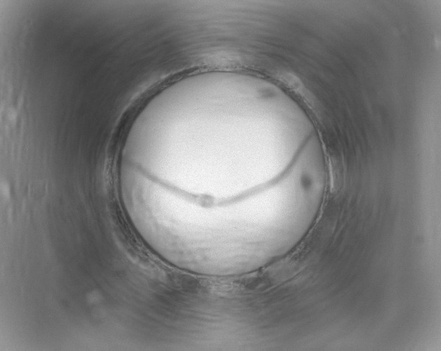 X0000075340579200609292037