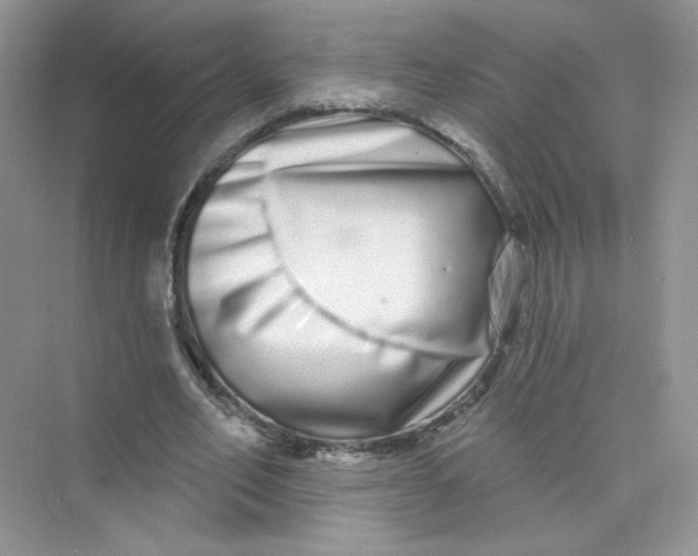 X0000075340582200609292037
