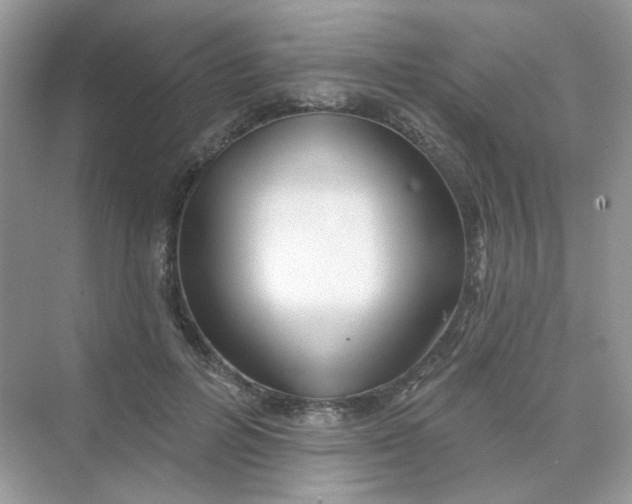 X0000075340600200609292037