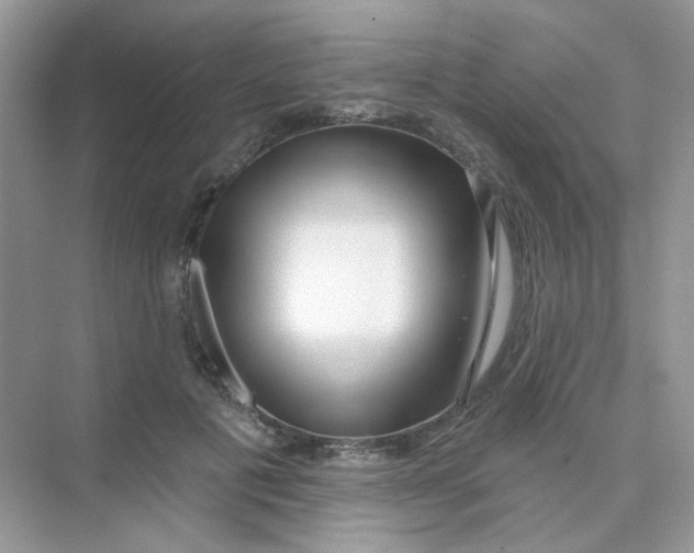 X0000075340601200609292037