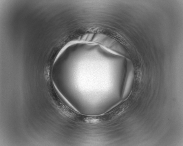 X0000075340602200609292037