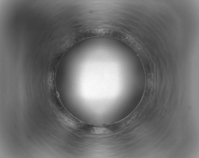 X0000075340605200609292037