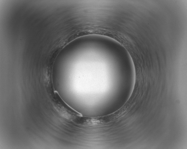 X0000075340607200609292036