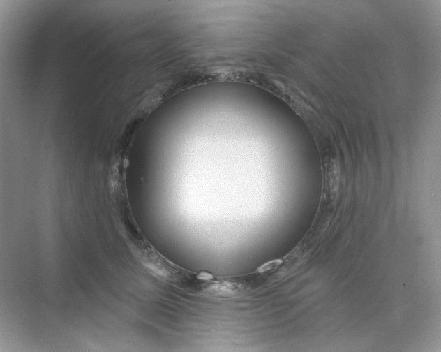 X0000075340611200609292036