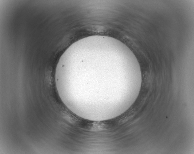 X0000075340612200609292036