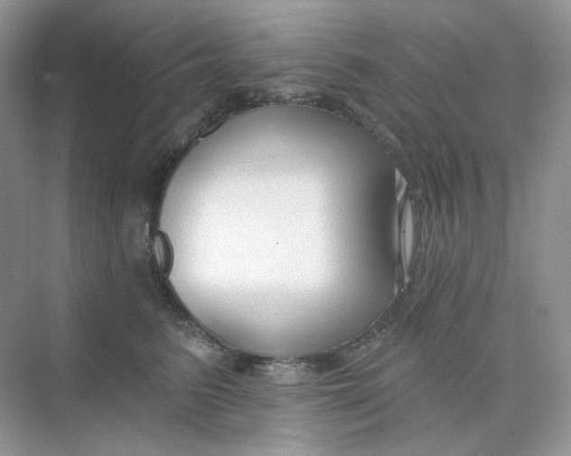 X0000075340615200609292036