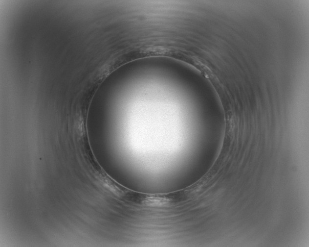 X0000075340617200609292036