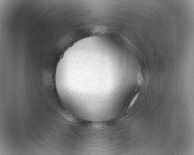 X0000075340619200609292036