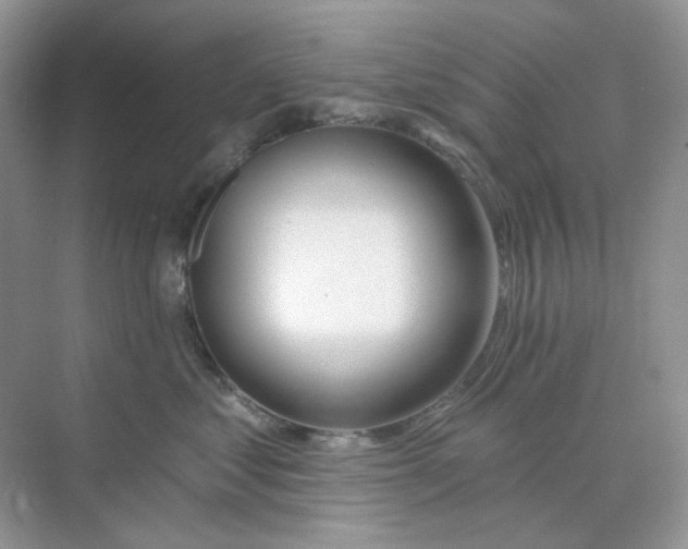X0000075340621200609292036