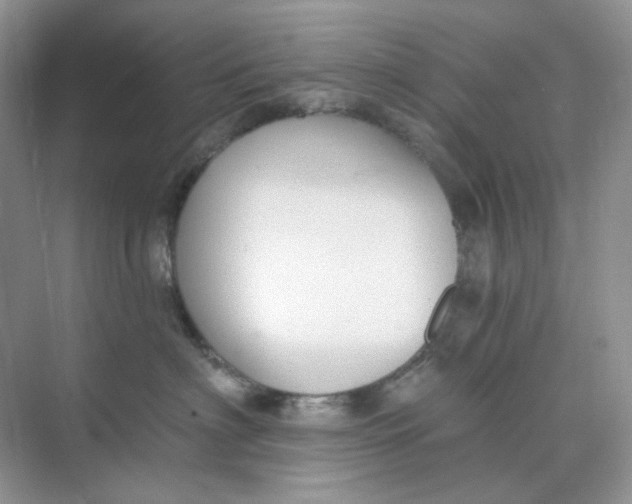 X0000075340622200609292036