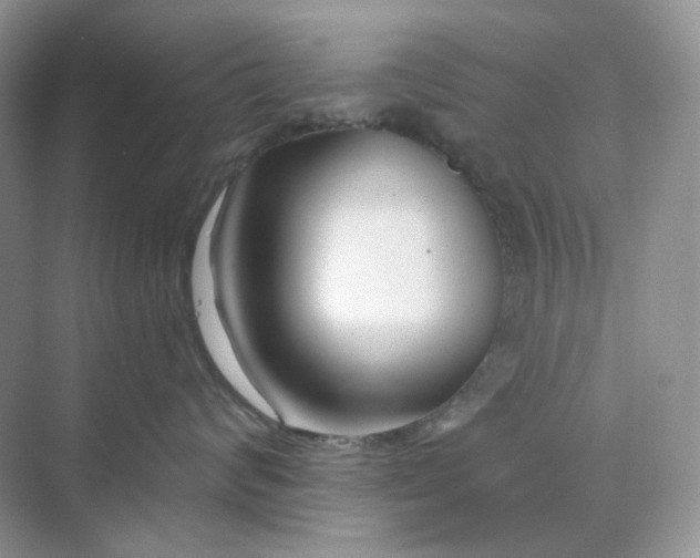 X0000075340624200609292036