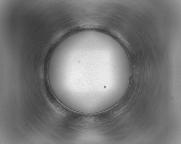 X0000075340631200609292035