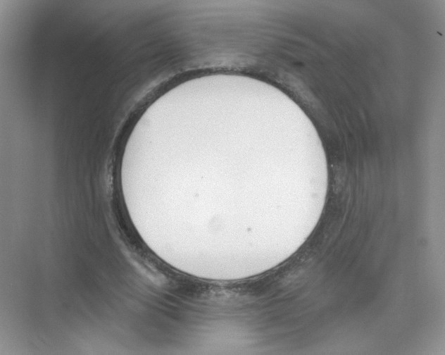 X0000075340632200609292035