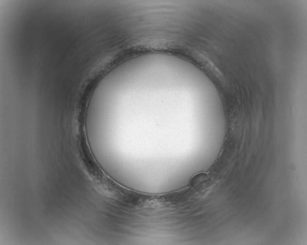 X0000075340635200609292036