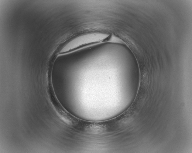 X0000075340638200609292036