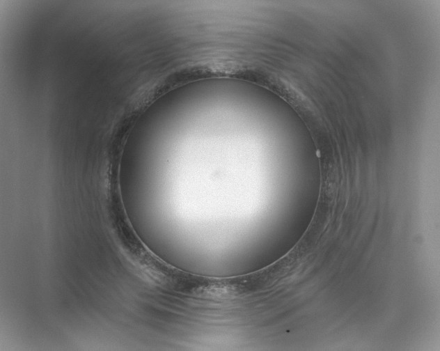X0000075340639200609292036