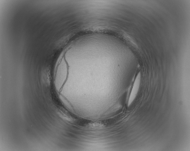 X0000075340644200609292036