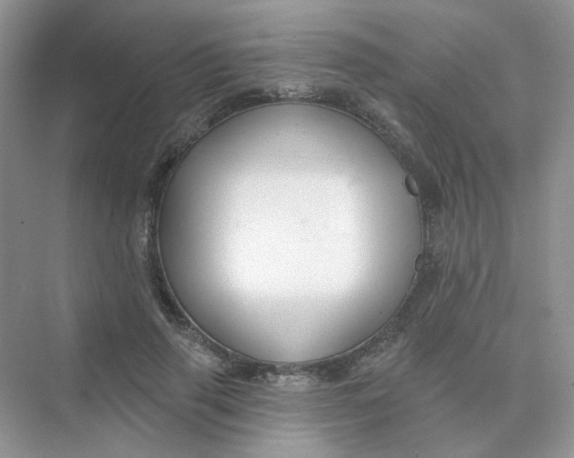 X0000075340645200609292036