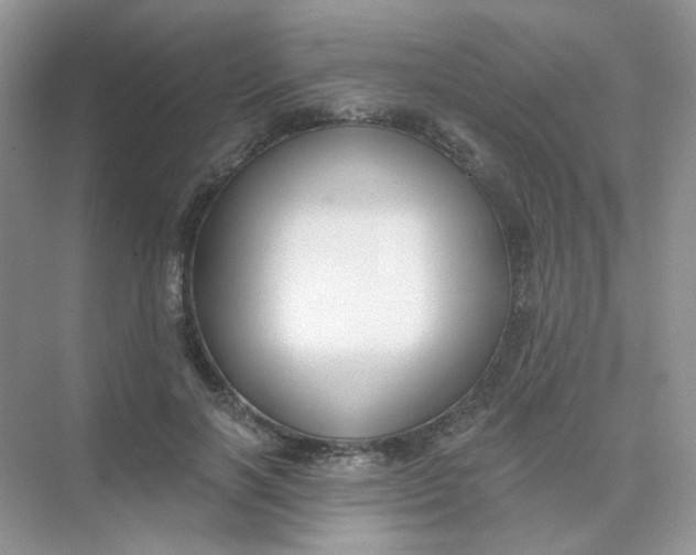 X0000075340646200609292036