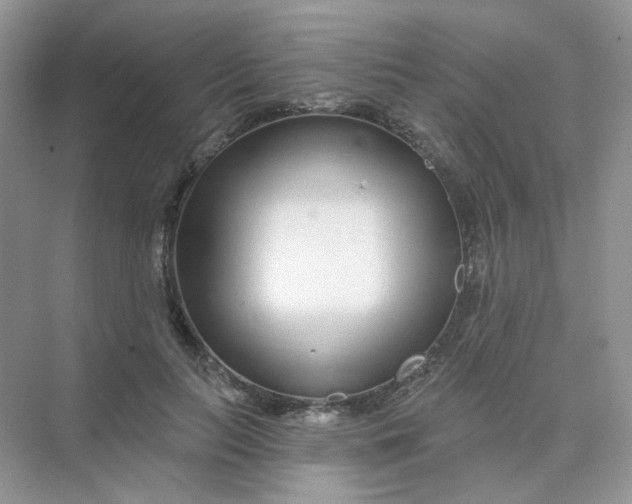 X0000075340647200609292036