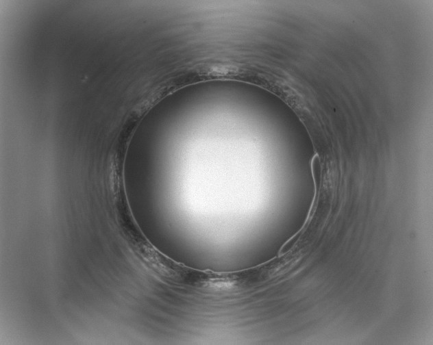 X0000075340651200609292036