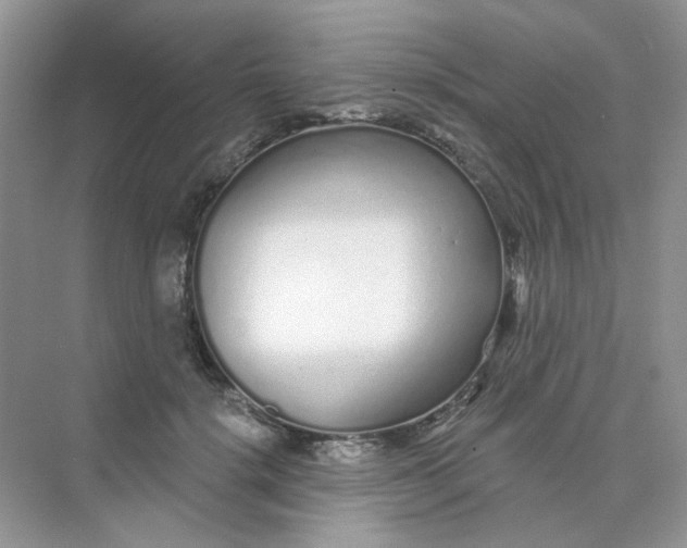 X0000075340652200609292036