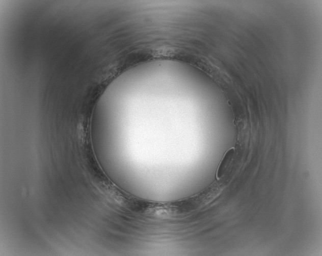 X0000075340655200609292036