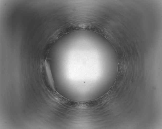 X0000075340656200609292036