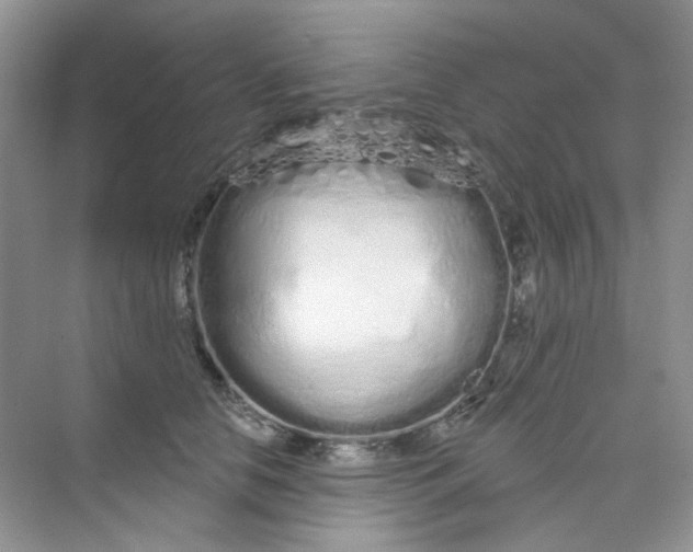 X0000075340658200609292036