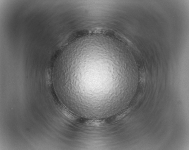 X0000075340661200609292036