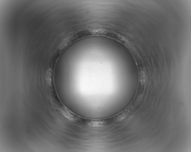 X0000075340664200609292036