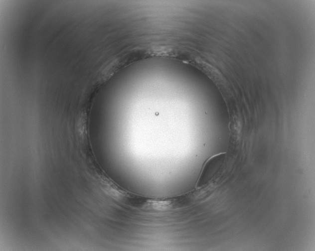 X0000075340665200609292036