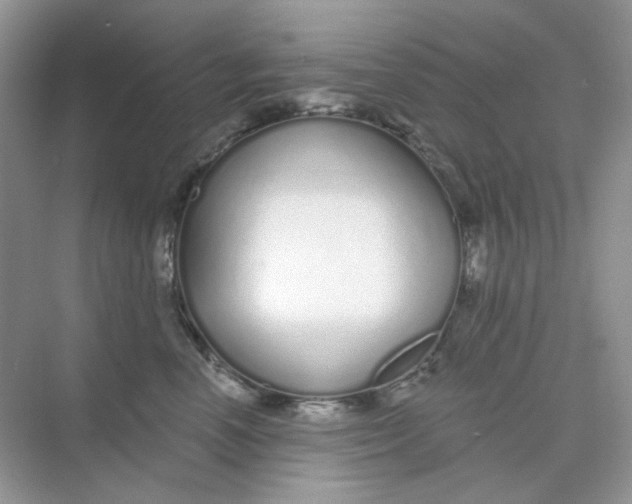 X0000075340666200609292036