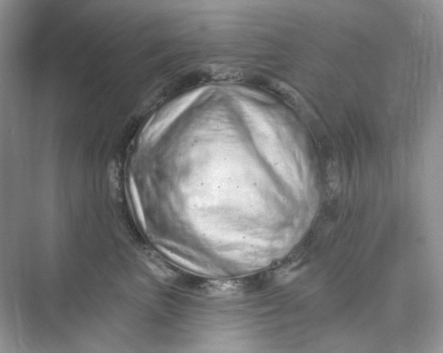 X0000075340667200609292036