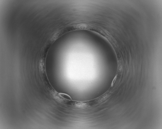 X0000075340669200609292036