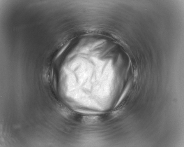 X0000075340671200609292036