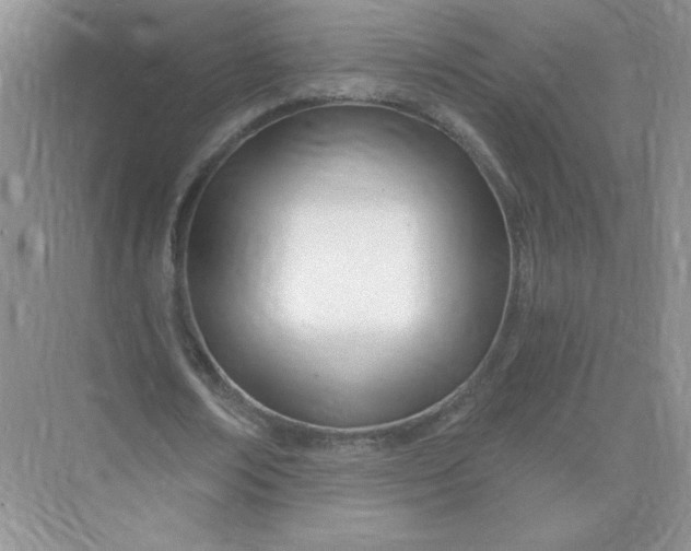 X0000075340674200609292035
