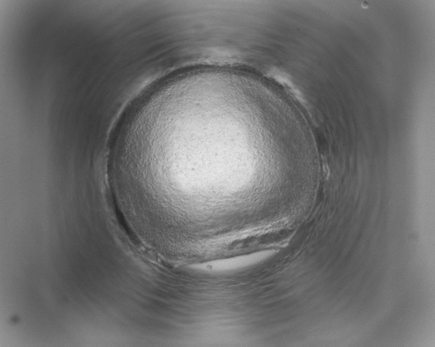 X0000075340679200609292035