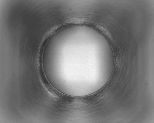 X0000075340682200609292035