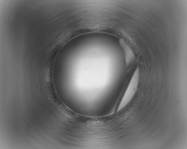 X0000075340689200609292035