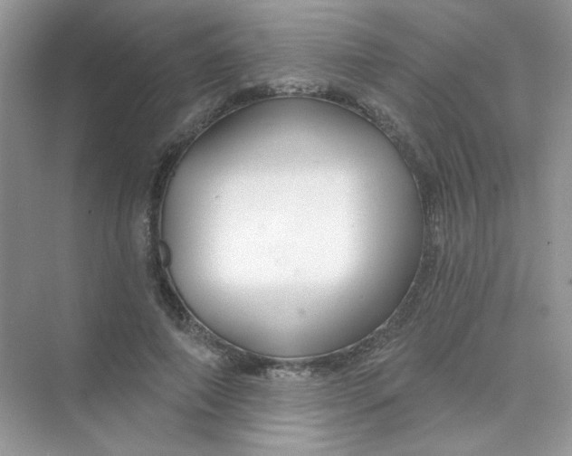 X0000075340690200609292035