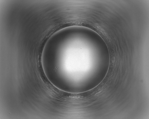X0000075340693200609292035
