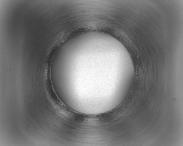 X0000075340694200609292035