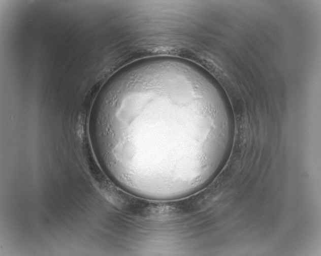 X0000075340695200609292035