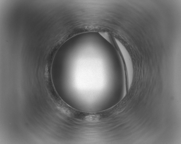 X0000075340700200609292035