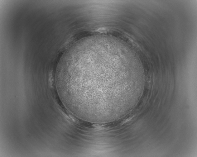 X0000075340707200609292035