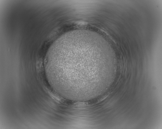 X0000075340711200609292035