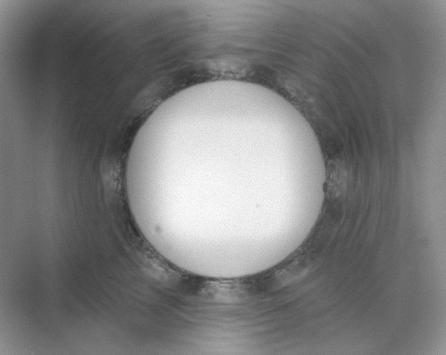 X0000075340713200609292035