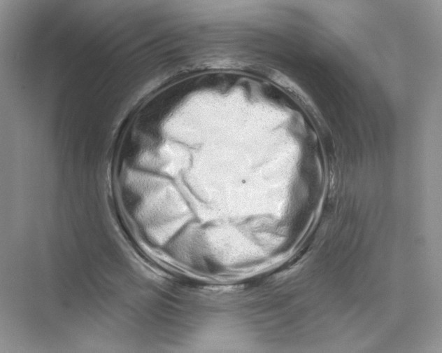 X0000075340725200609292034